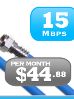 15Mbps unlimited Internet plan over cable service